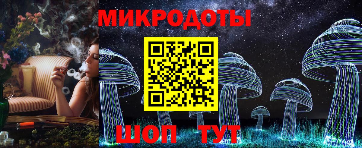 Москва  Псилоцибиновые грибы Cubensis  Вход с VPN 